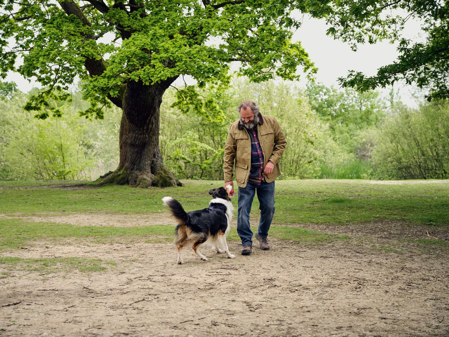 COPD - Dog 1 Image